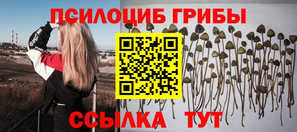 Псилоцибиновые грибы Psilocybine cubensis  Вход с VPN  Миасс 